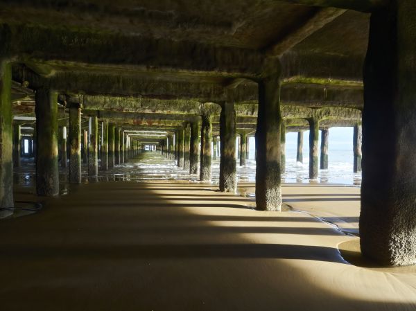 Cost of Pier And Beam Leveling in Sanford